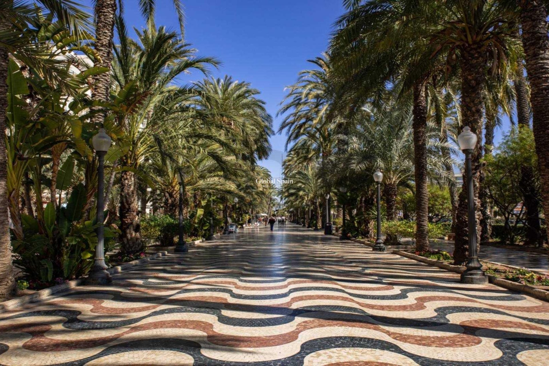 Neubau - PENTHOUSE -
ALICANTE - Centro