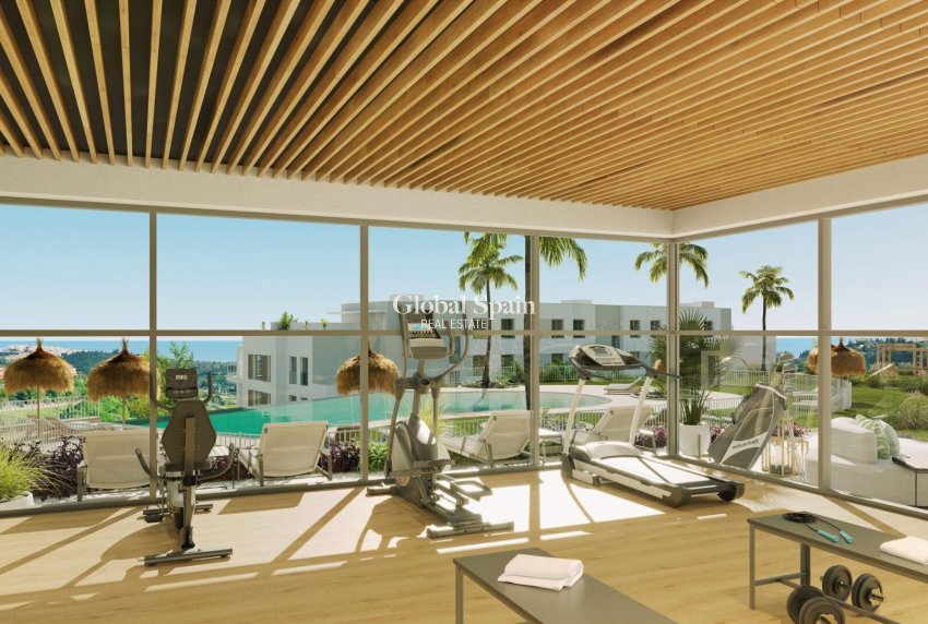 Neubau - PENTHOUSE -
CASARES - Doña Julia