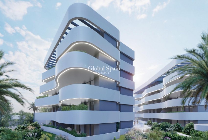 Neubau - PENTHOUSE -
GUARDAMAR DEL SEGURA - EL RASO
