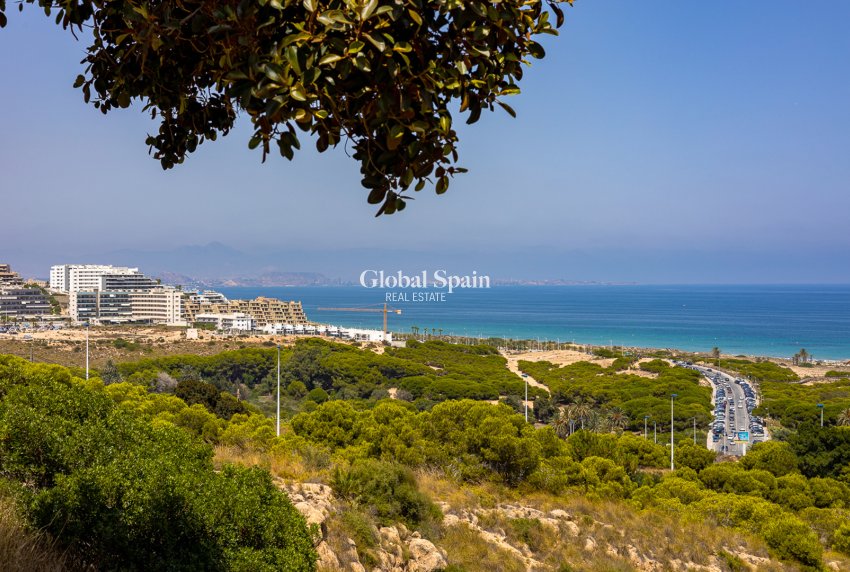 Neubau - PENTHOUSE -
LOS ARENALES DEL SOL - Elche/Elx