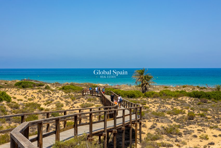 Neubau - PENTHOUSE -
LOS ARENALES DEL SOL - Elche/Elx