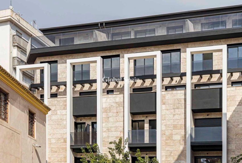 Neubau - PENTHOUSE -
MURCIA - Centro