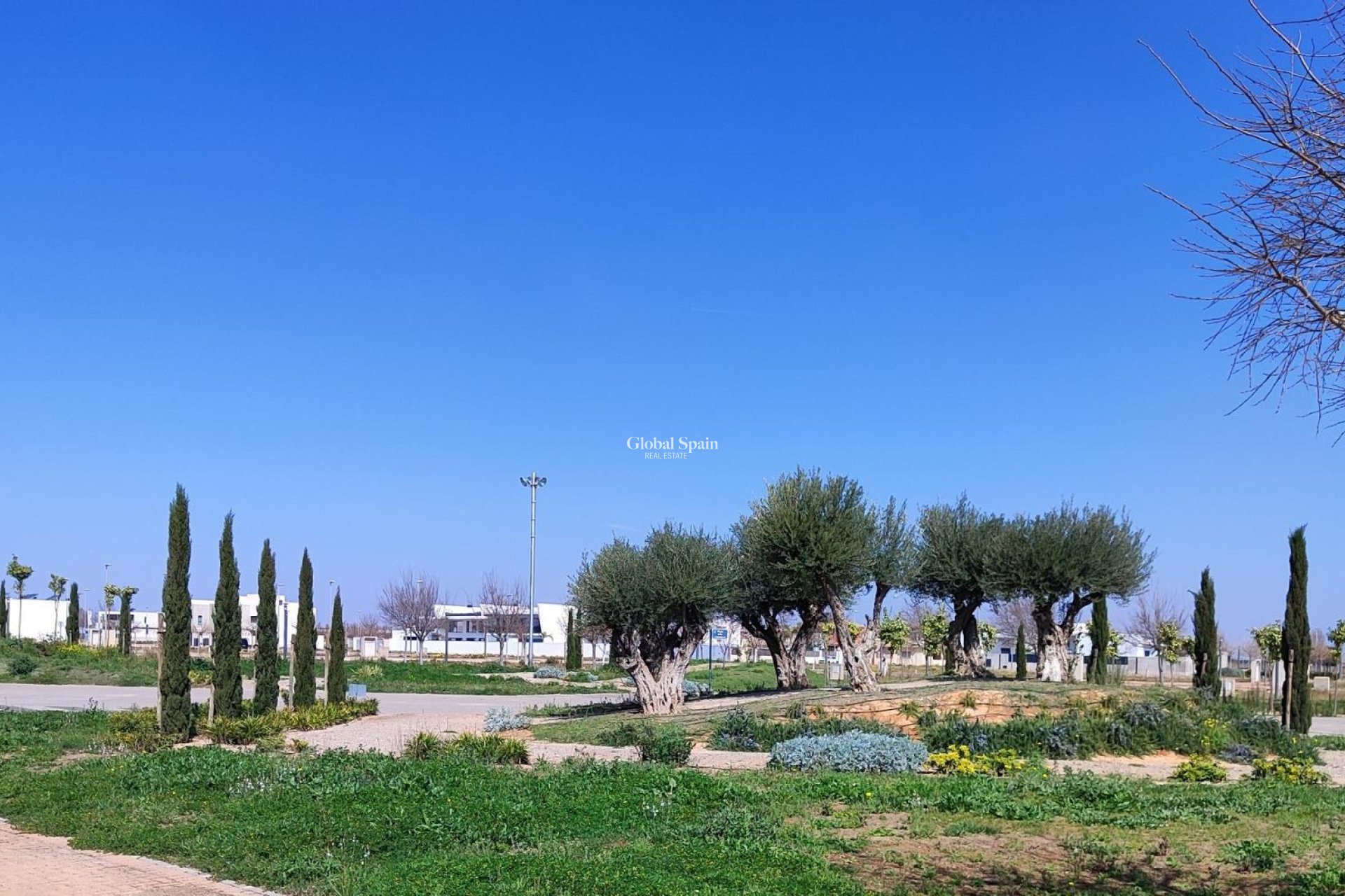 Neubau - PENTHOUSE -
TORRE PACHECO - Centro