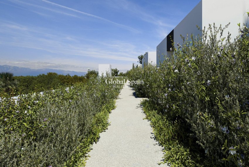 Neubau - VILLA -
ALFAZ DEL PI - Barranc Fondo