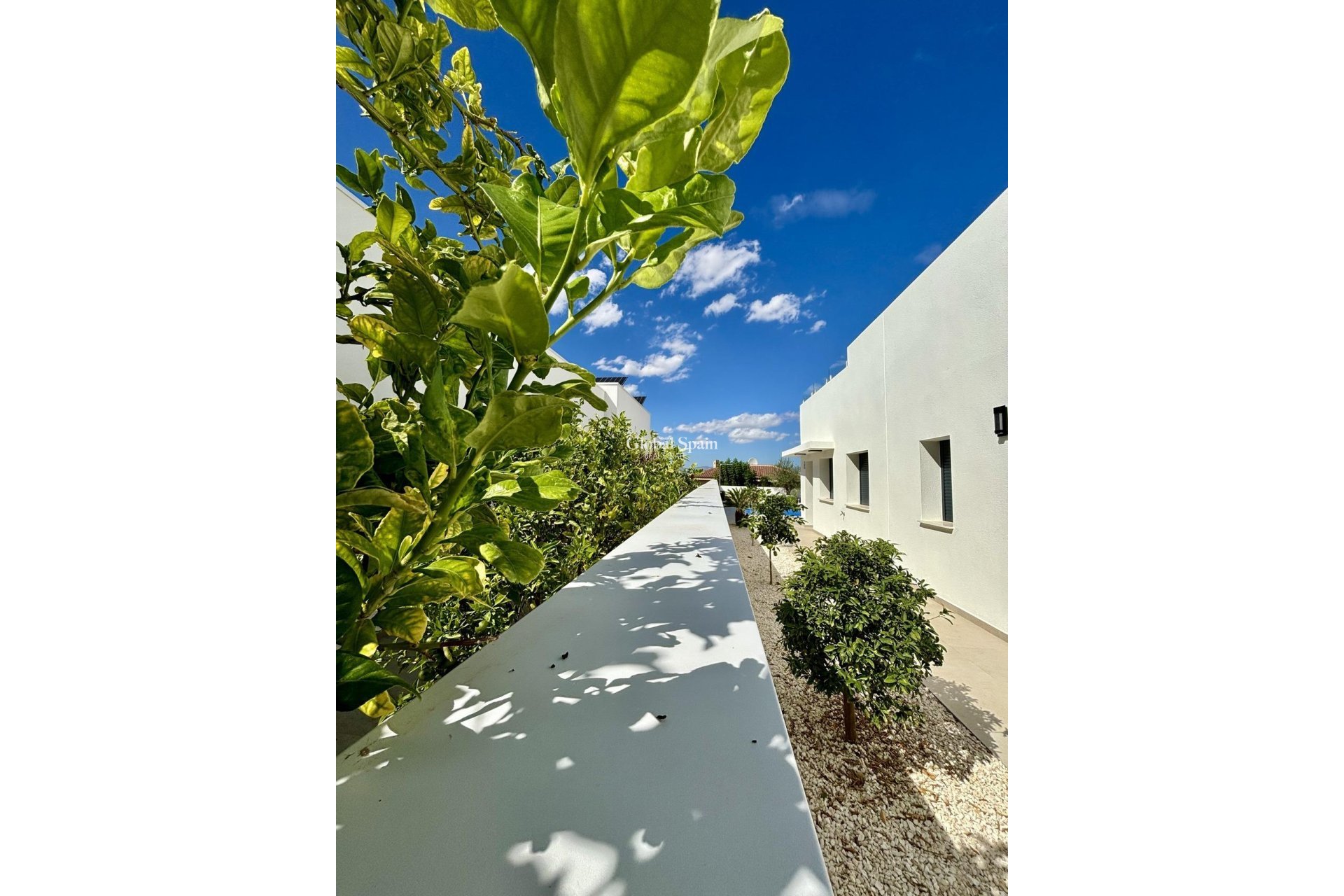 Neubau - VILLA -
BENIJÓFAR - Pueblo