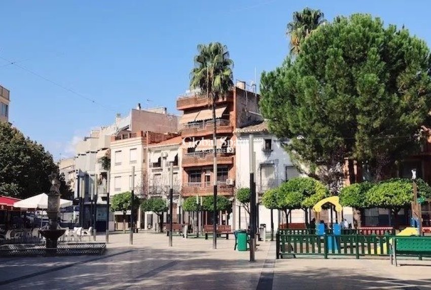 Neubau - VILLA -
CALASPARRA - Coto riñales