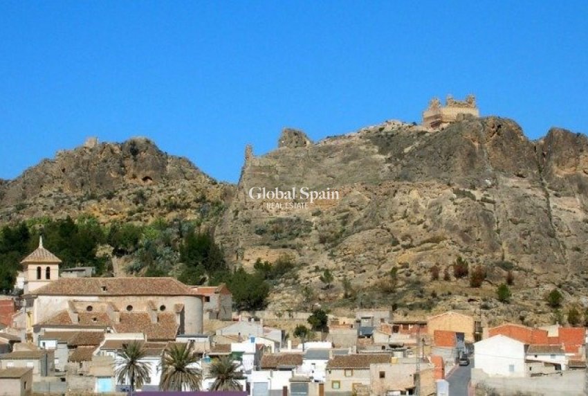 Neubau - VILLA -
CALASPARRA - Coto riñales