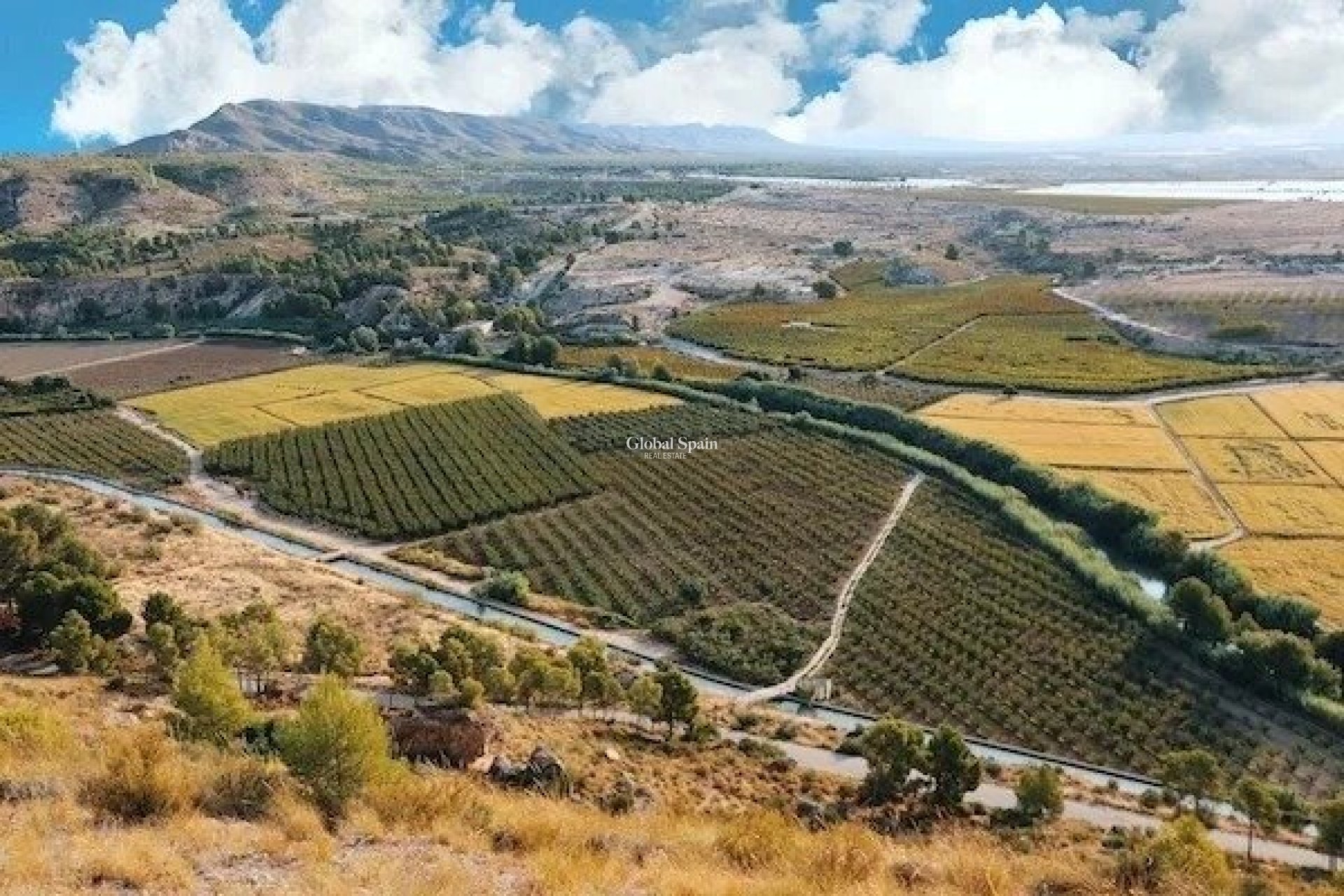 Neubau - VILLA -
CALASPARRA - Coto riñales