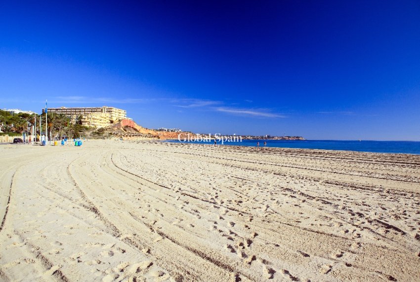 Neubau - Villa -
DEHESA DE CAMPOAMOR