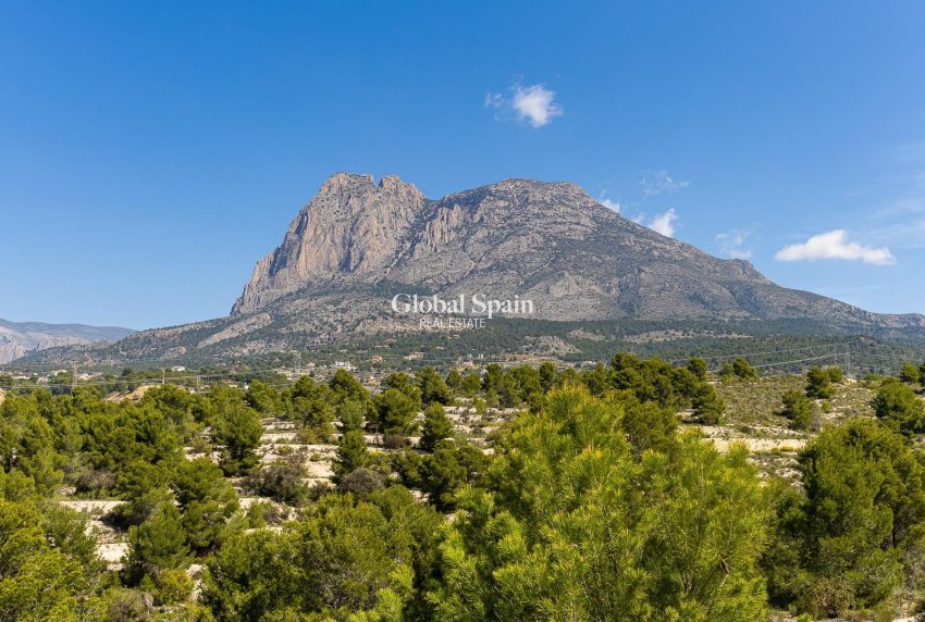 Neubau - Villa -
FINESTRAT