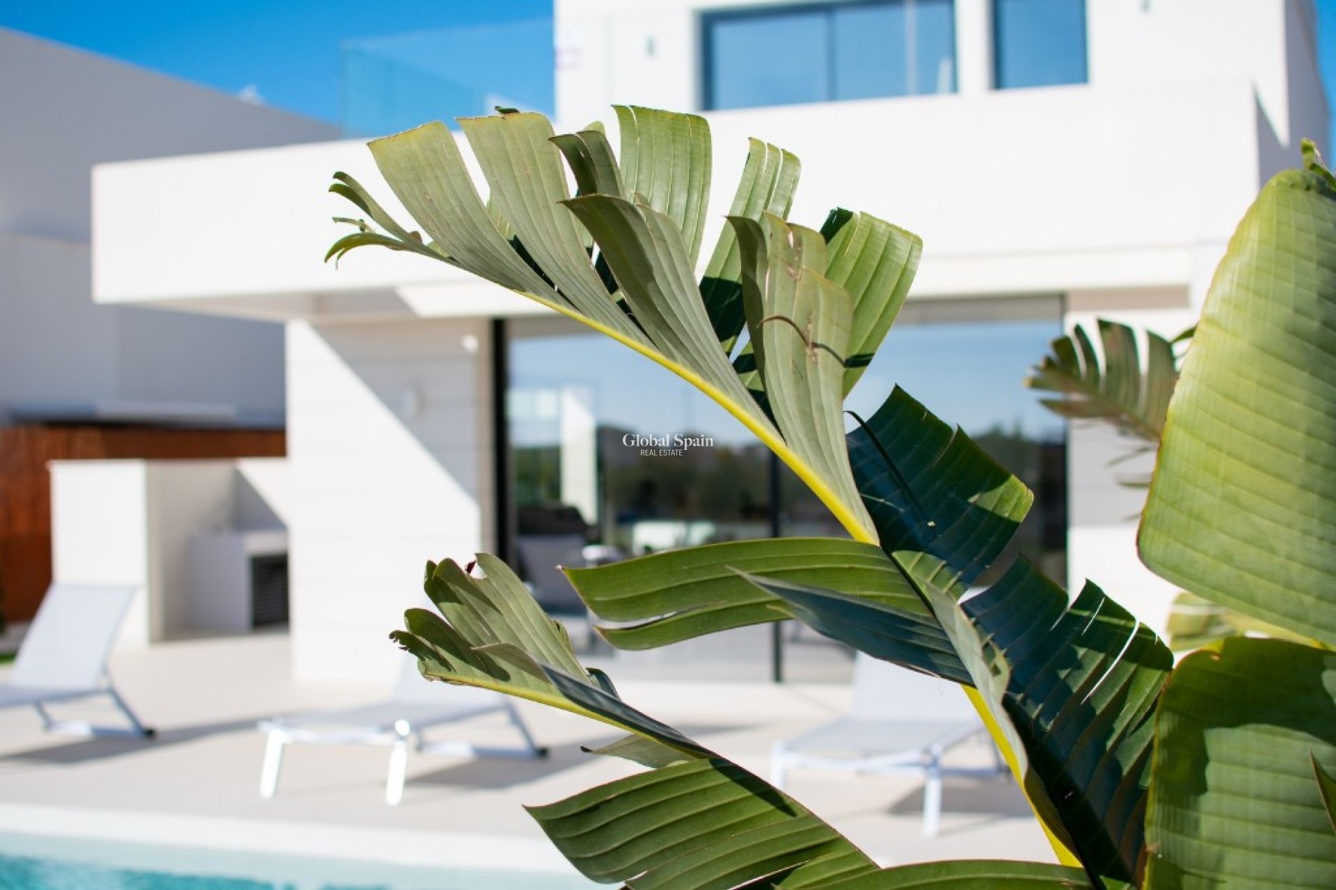 Neubau - Villa -
LOS MONTESINOS - La Herada