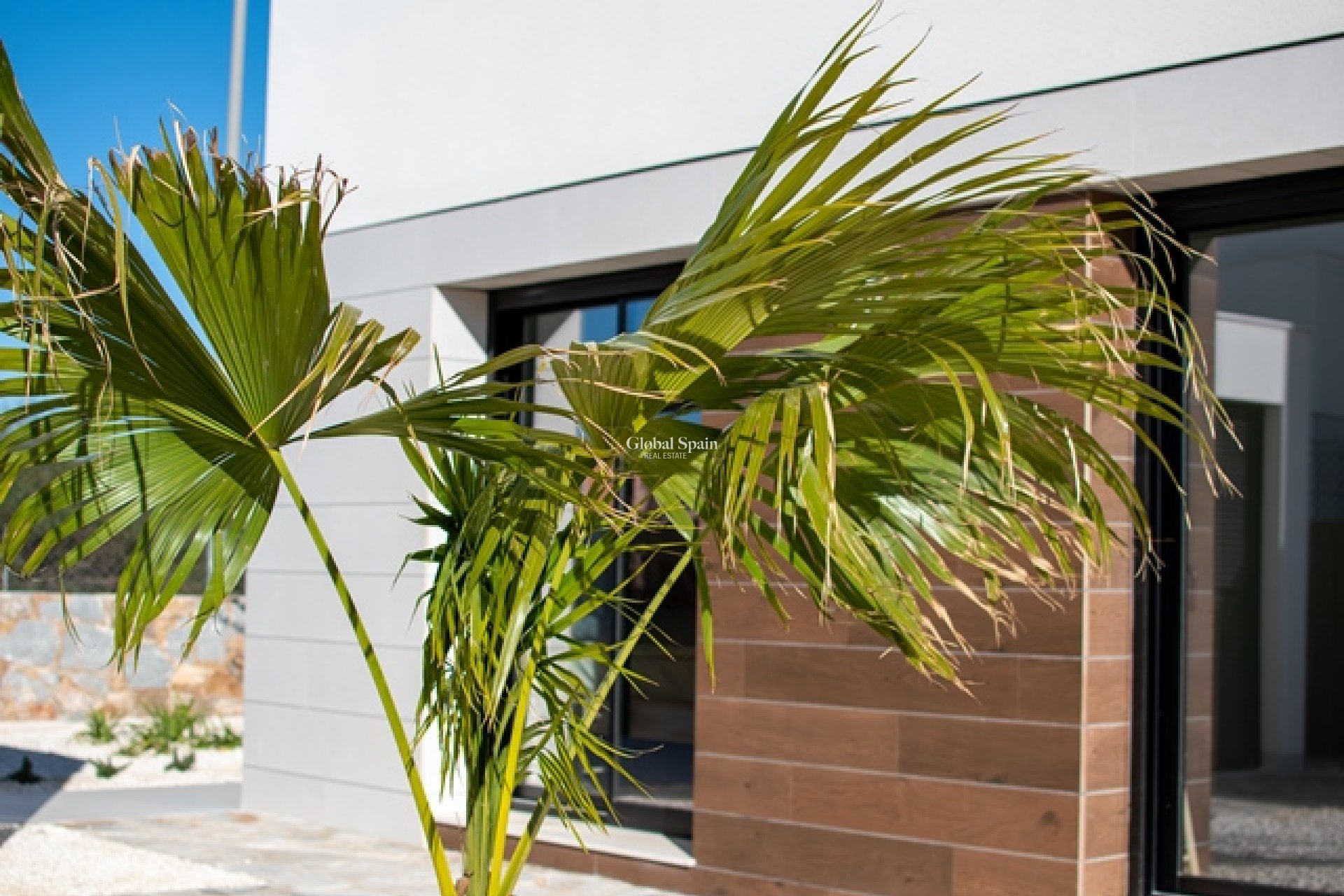 Neubau - Villa -
LOS MONTESINOS - La Herrada