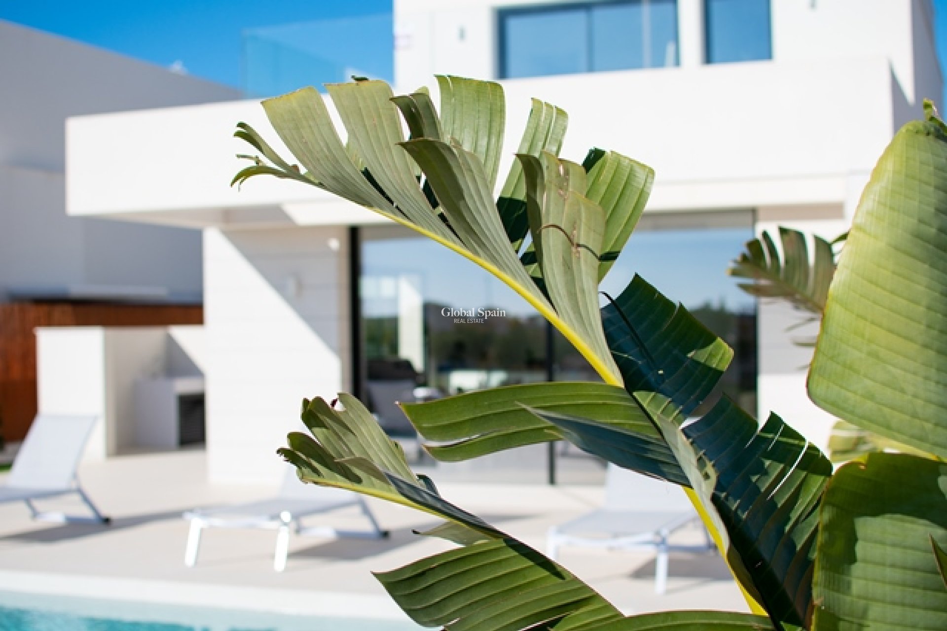 Neubau - Villa -
LOS MONTESINOS - La Herrada