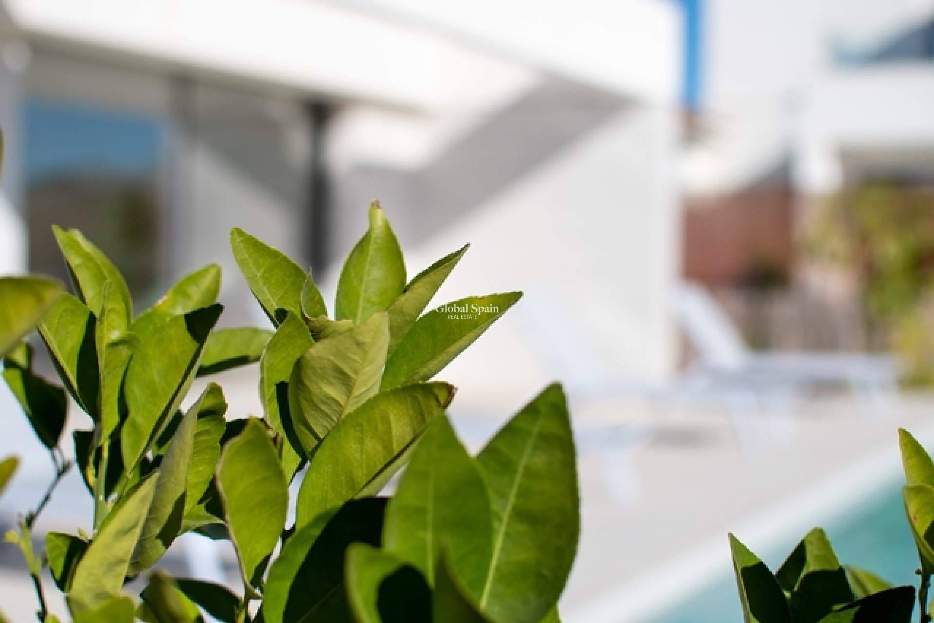 Neubau - Villa -
LOS MONTESINOS - La Herrada