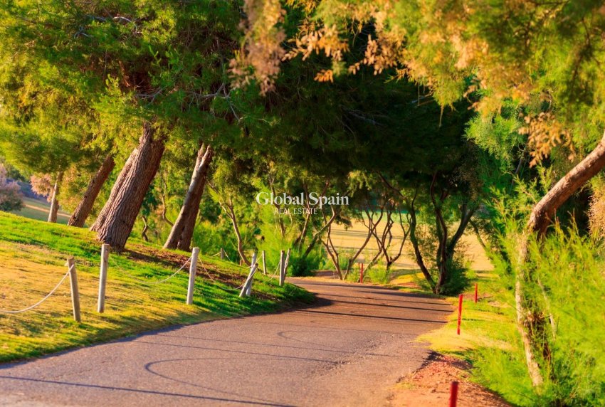 Neubau - Villa -
PILAR DE LA HORADADA - Lo Romero Golf