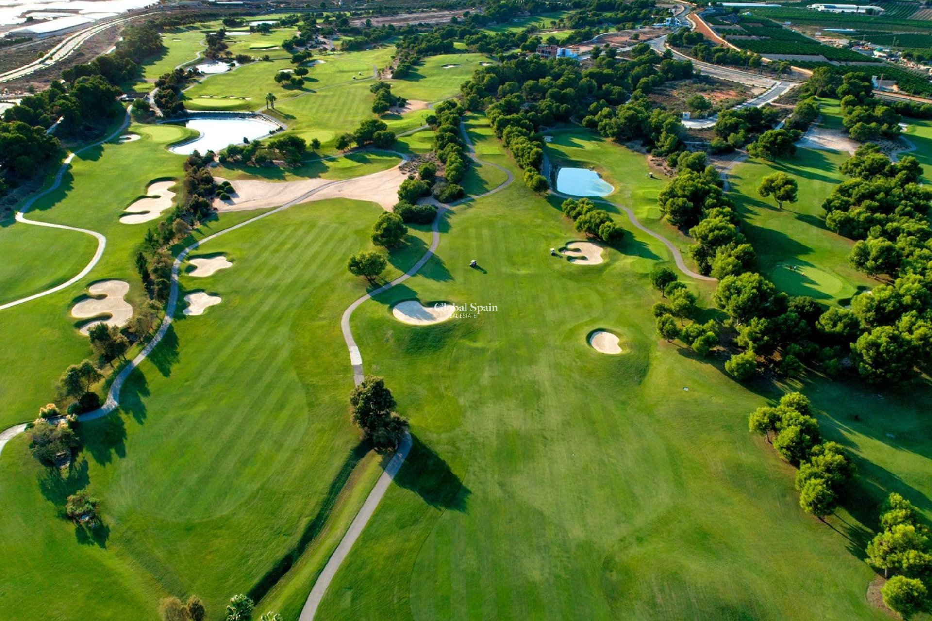 Neubau - VILLA -
PILAR DE LA HORADADA - Lo Romero Golf