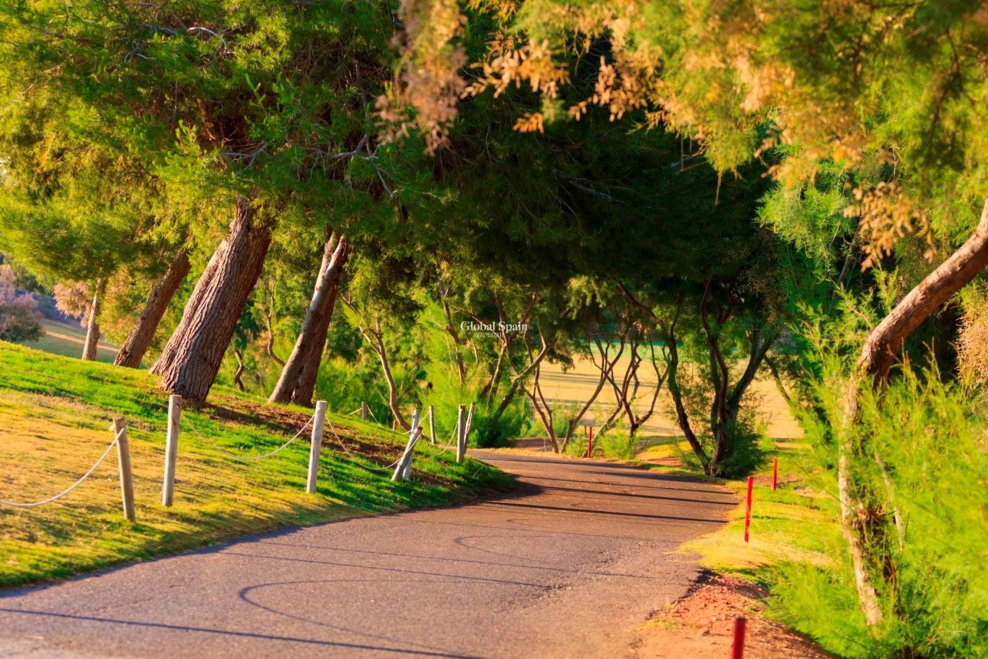 Neubau - VILLA -
PILAR DE LA HORADADA - Lo Romero Golf