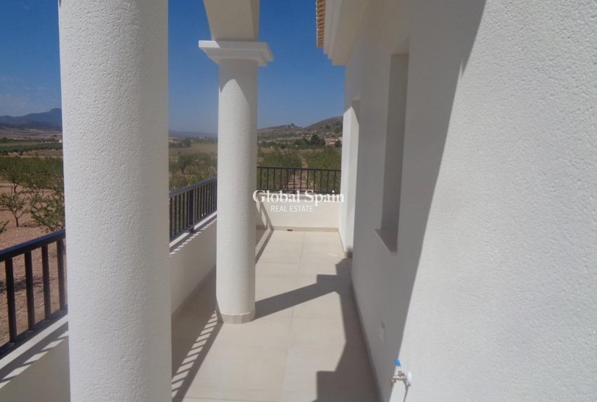 Neubau - Villa -
Pinoso - Camino Del Prado