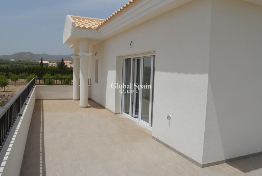 Neubau - Villa -
Pinoso - Camino Del Prado