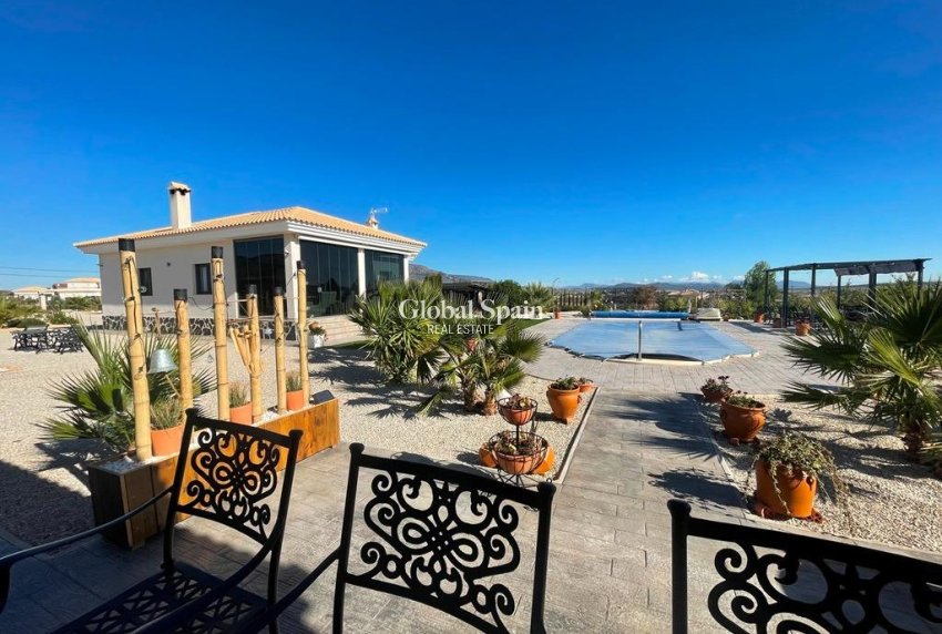 Neubau - Villa -
Pinoso - Camino Del Prado