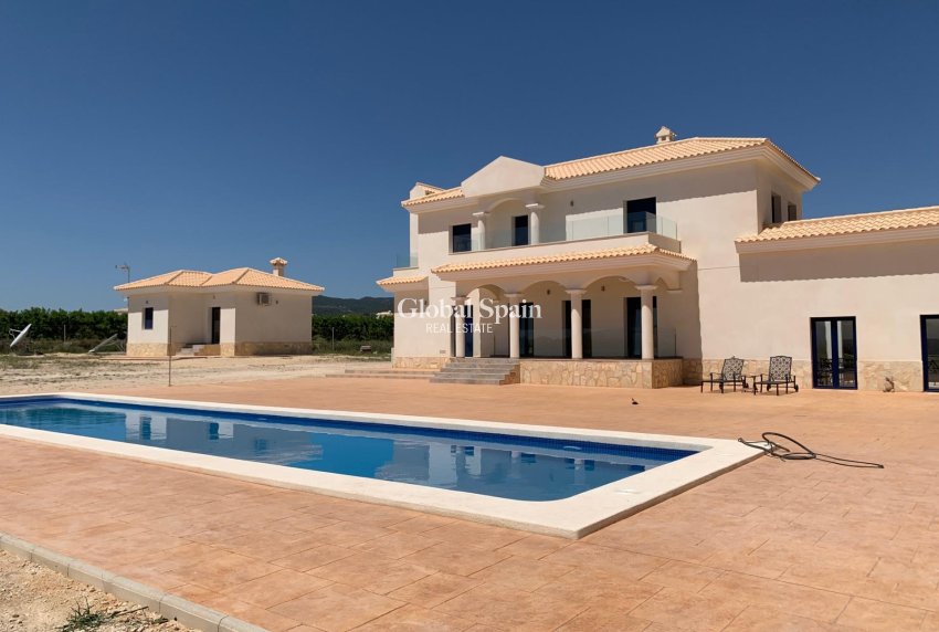 Neubau - Villa -
Pinoso - Camino Del Prado