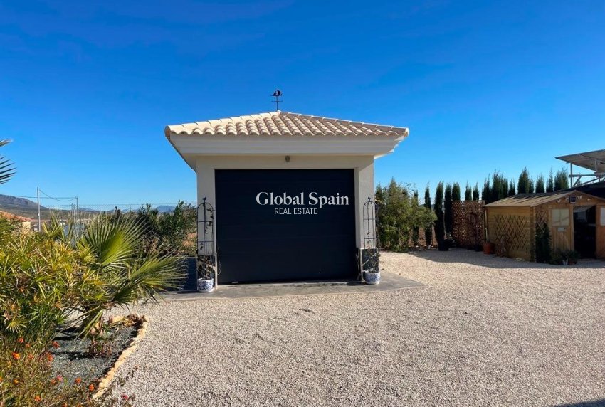 Neubau - Villa -
Pinoso - Camino Del Prado