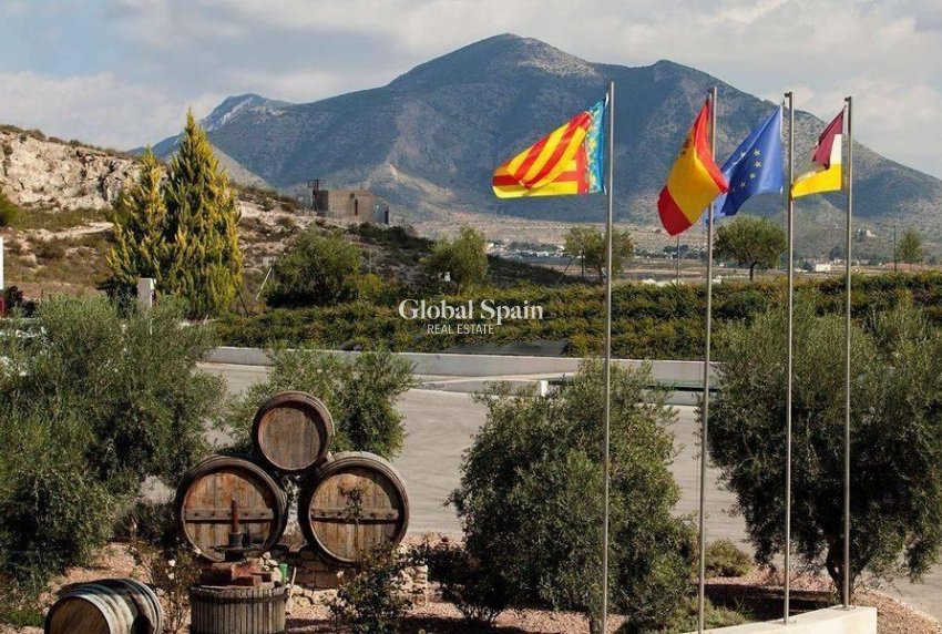 Neubau - Villa -
Pinoso - Lel