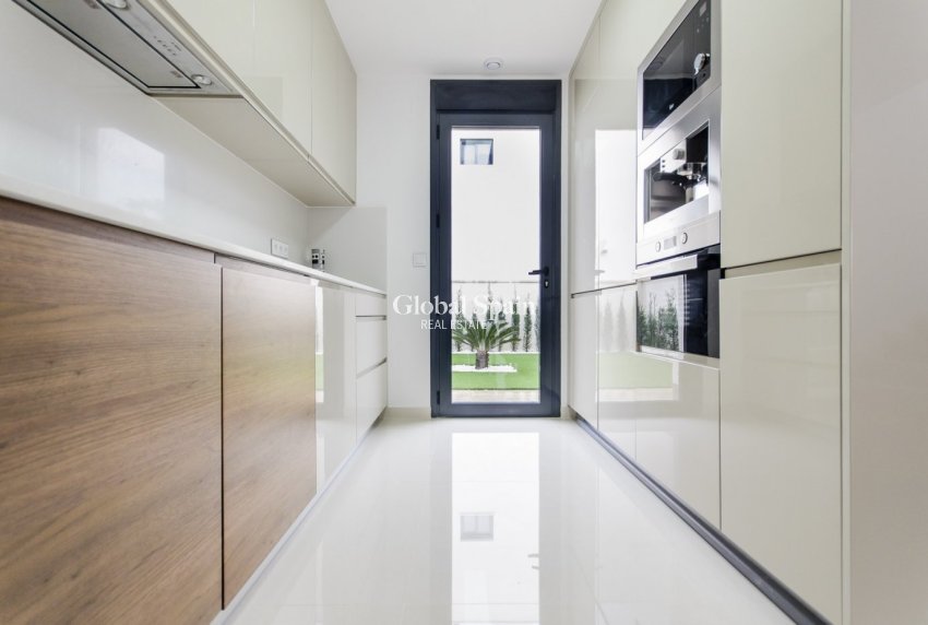 Neubau - VILLA -
SAN MIGUEL DE SALINAS - Cerro del Sol