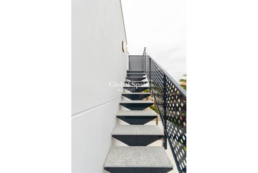 Neubau - Villa -
TORREVIEJA - Torretas