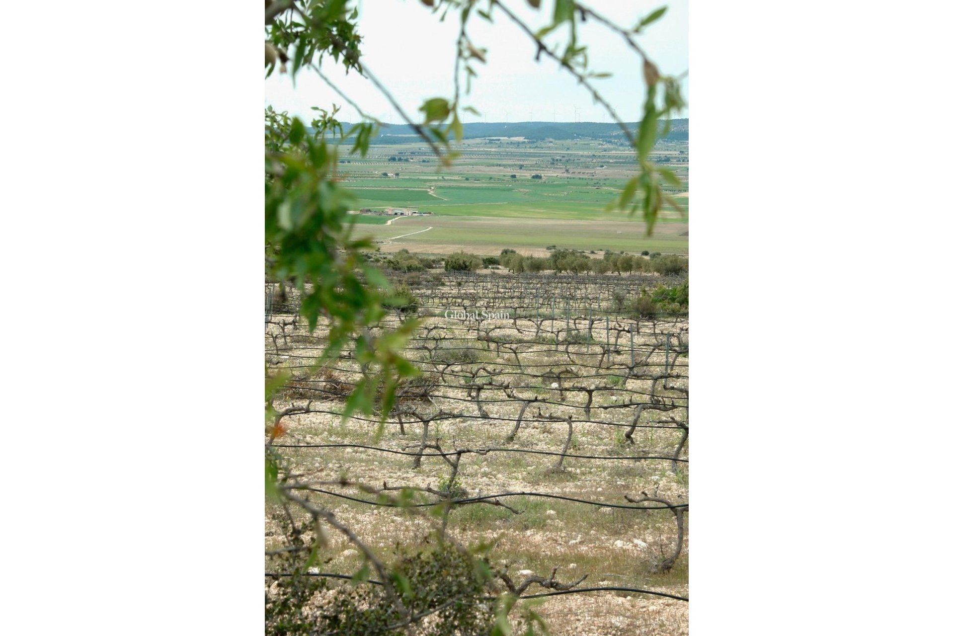 Neubau - Villa -
Yecla