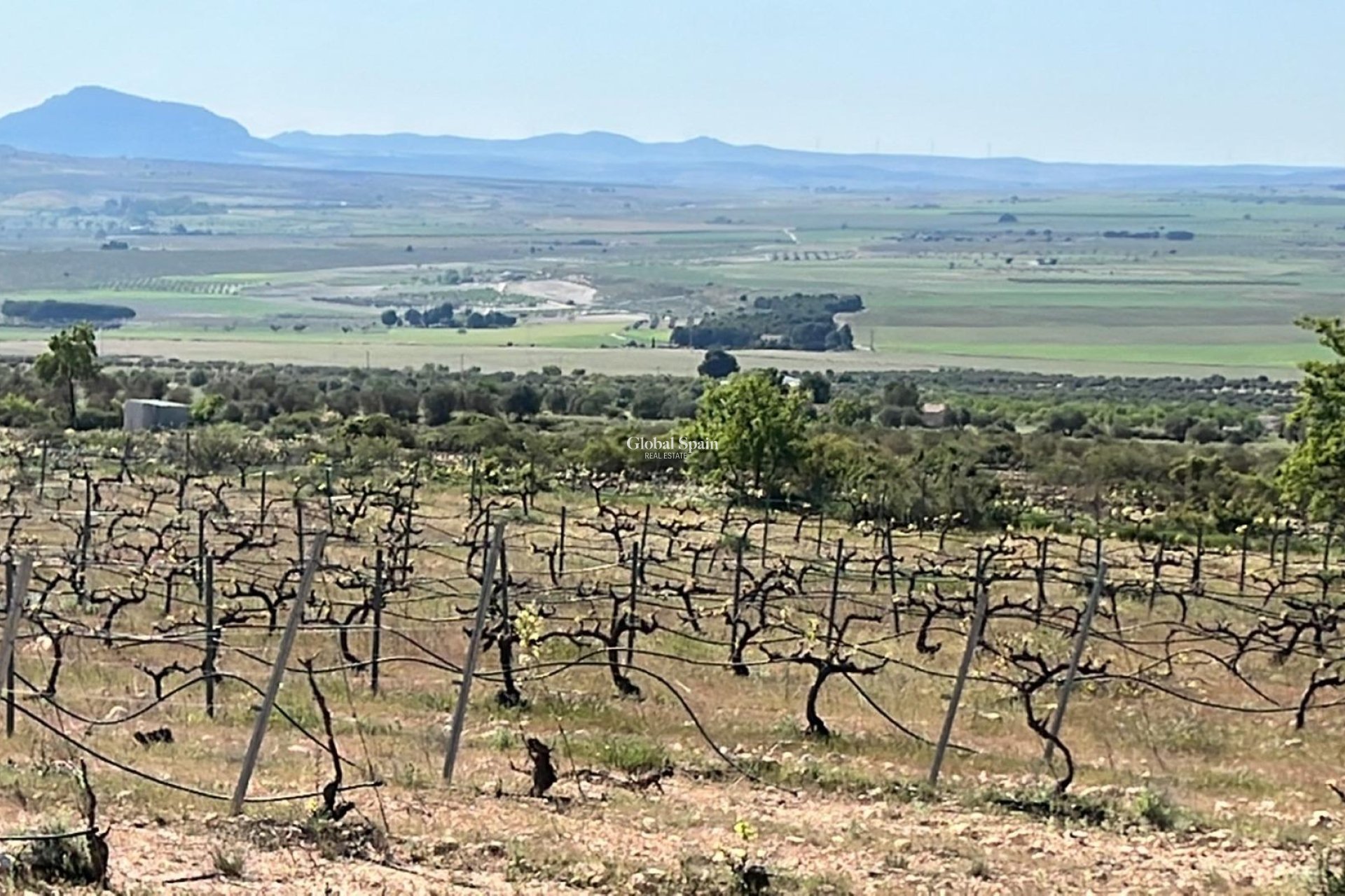 Neubau - Villa -
Yecla