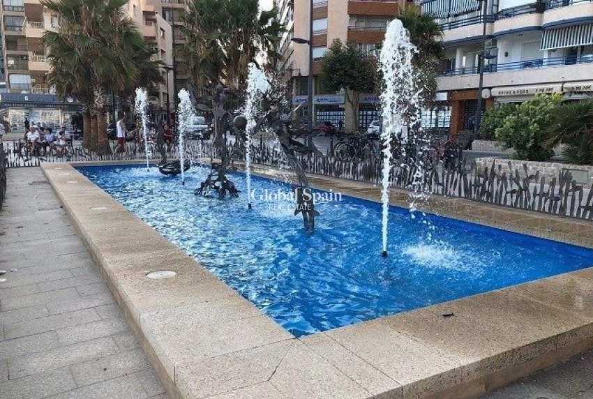 Neubau - Wohnung -
CALPE - Playa del Bol