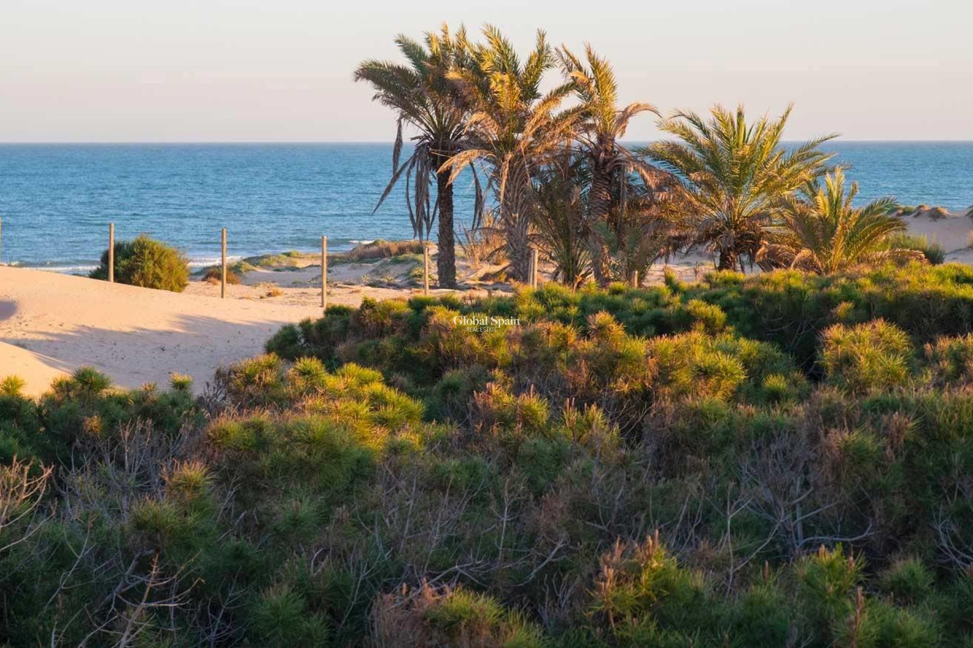 Neubau - WOHNUNG -
GUARDAMAR DEL SEGURA - Avda del Puerto