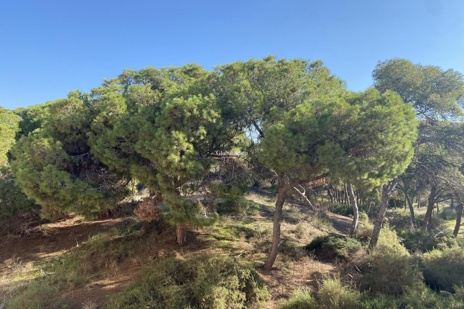 Neubau - WOHNUNG -
GUARDAMAR DEL SEGURA