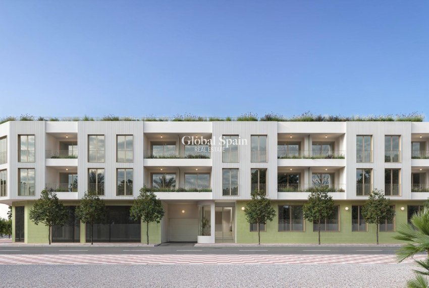 Neubau - WOHNUNG -
JACARILLA - pueblo