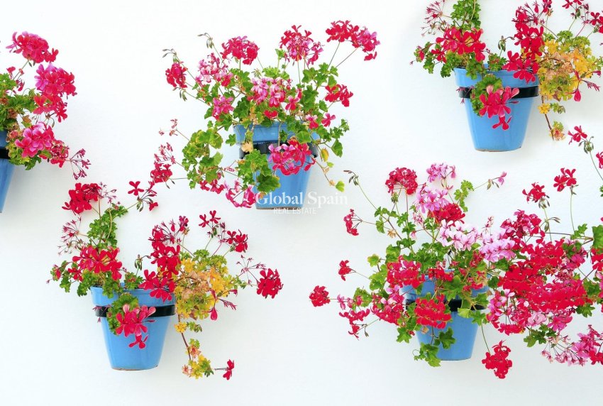 Neubau - WOHNUNG -
Mijas - La Noria Golf