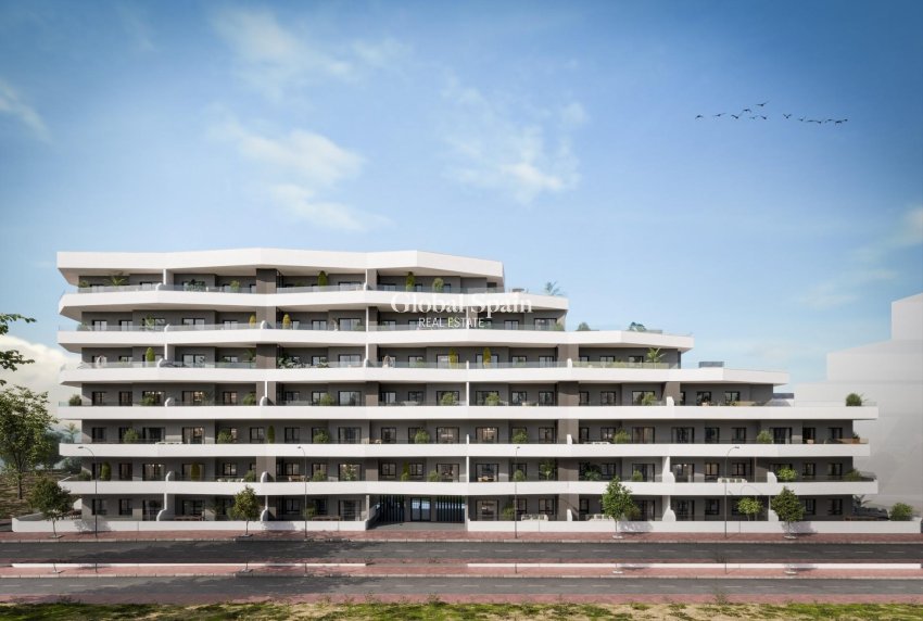 Neubau - WOHNUNG -
SAN MIGUEL DE SALINAS - Pueblo