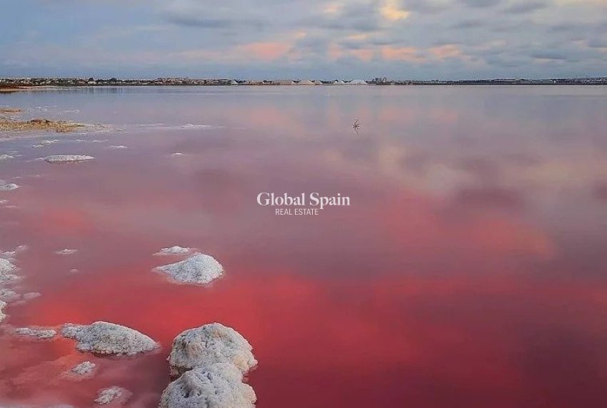 Neubau - WOHNUNG -
TORREVIEJA - Lago Jardín II