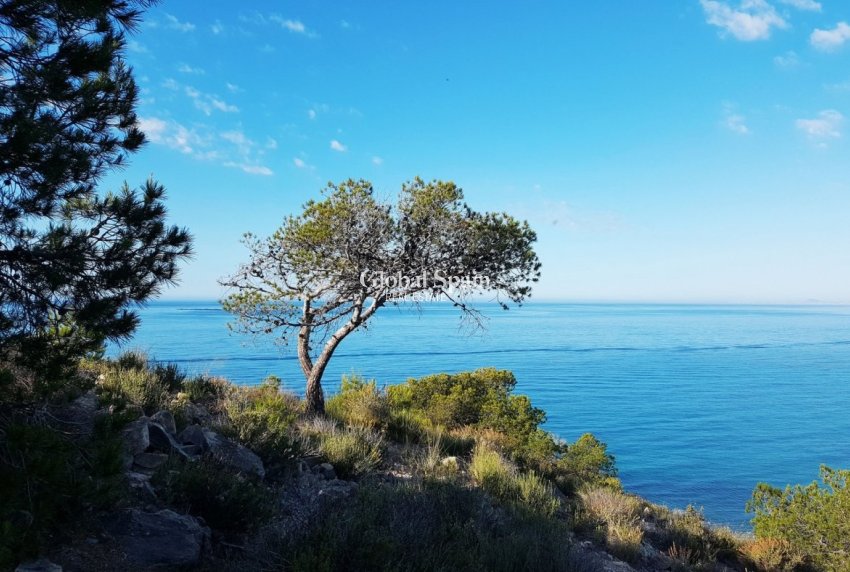 Neubau - WOHNUNG -
VILLAJOYOSA - Playa Les Torres