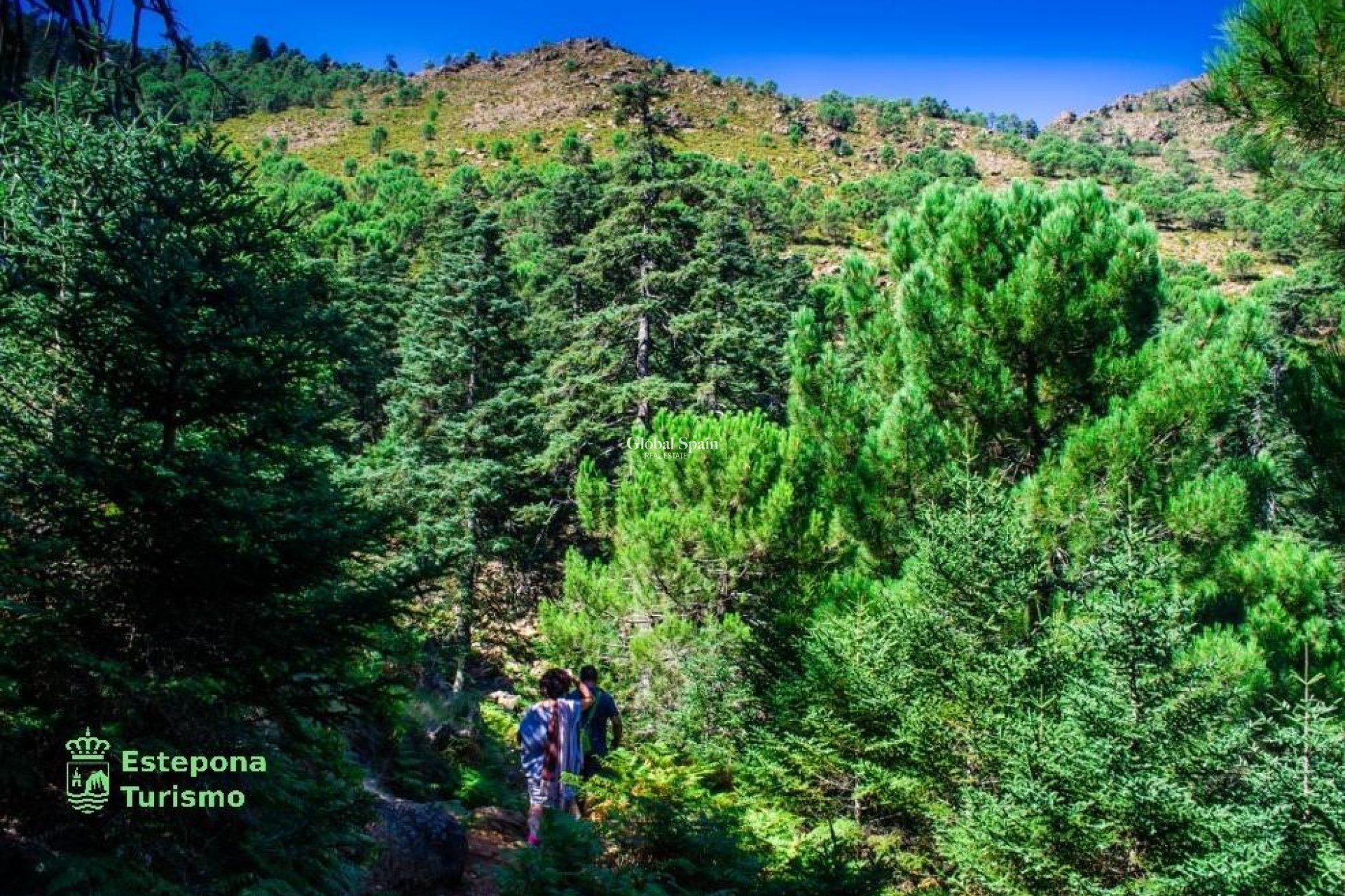 New Build - APARTMENT -
ESTEPONA - Playa de La Rada