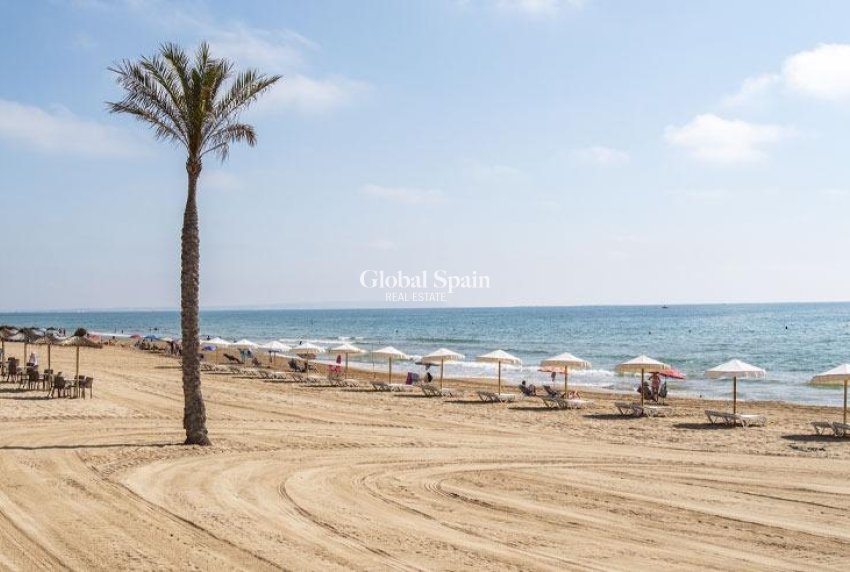 New Build - Apartment -
GUARDAMAR DEL SEGURA