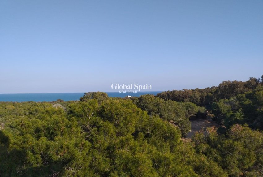 New Build - Apartment -
GUARDAMAR DEL SEGURA