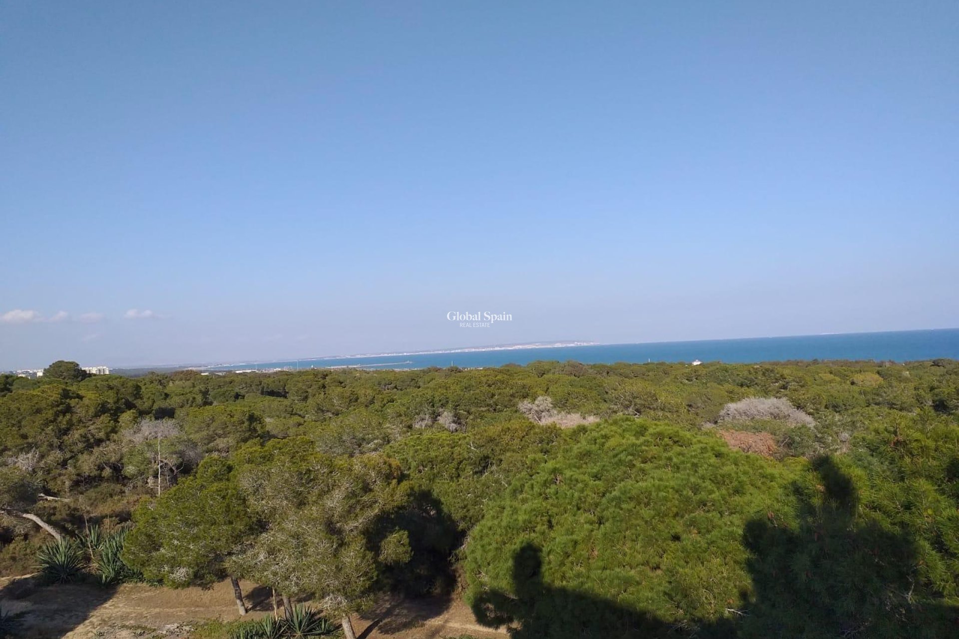 New Build - APARTMENT -
GUARDAMAR DEL SEGURA