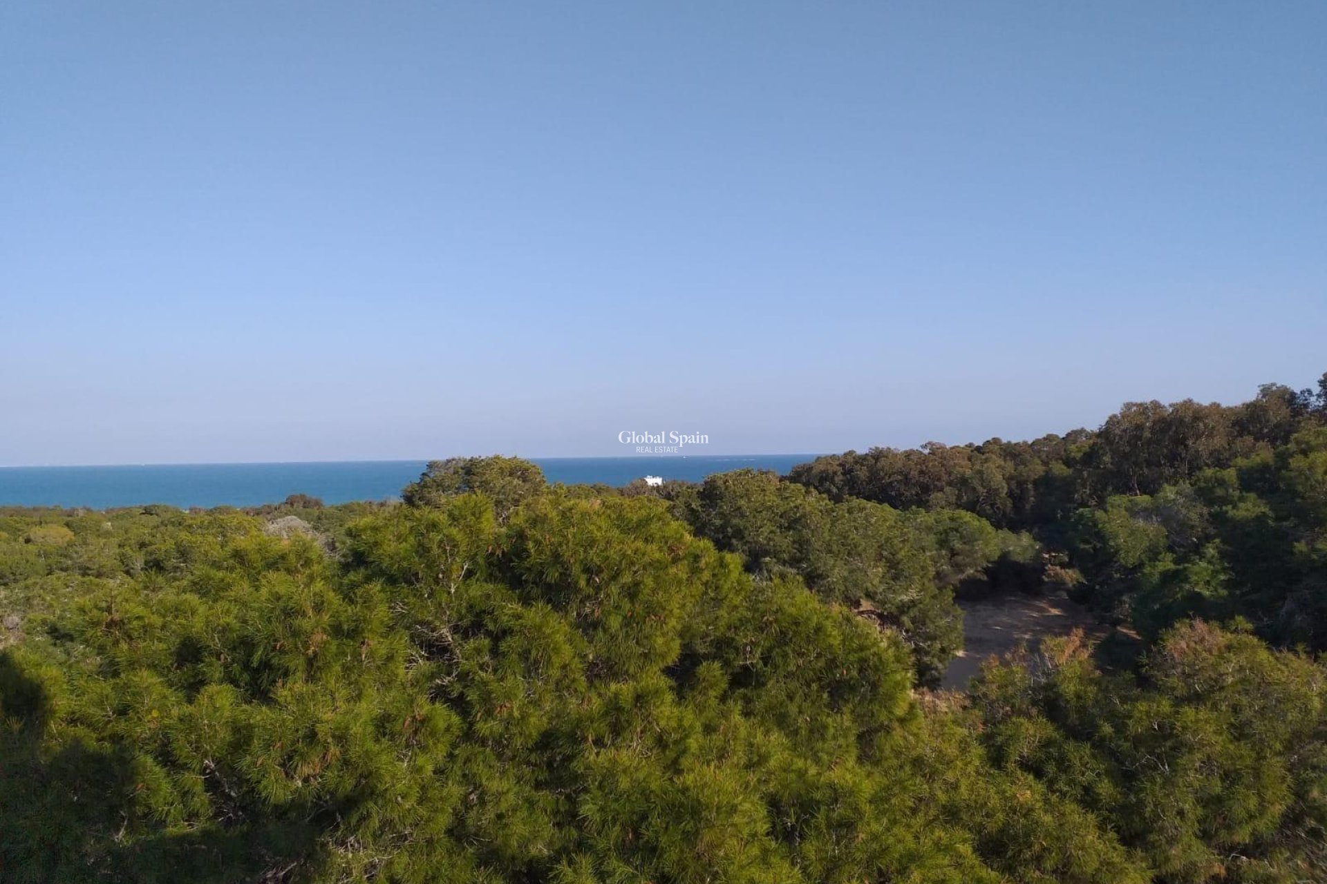 New Build - APARTMENT -
GUARDAMAR DEL SEGURA