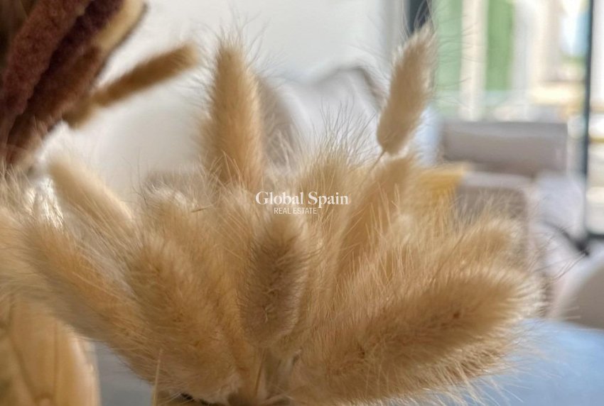 New Build - APARTMENT -
SAN FULGENCIO - Pueblo