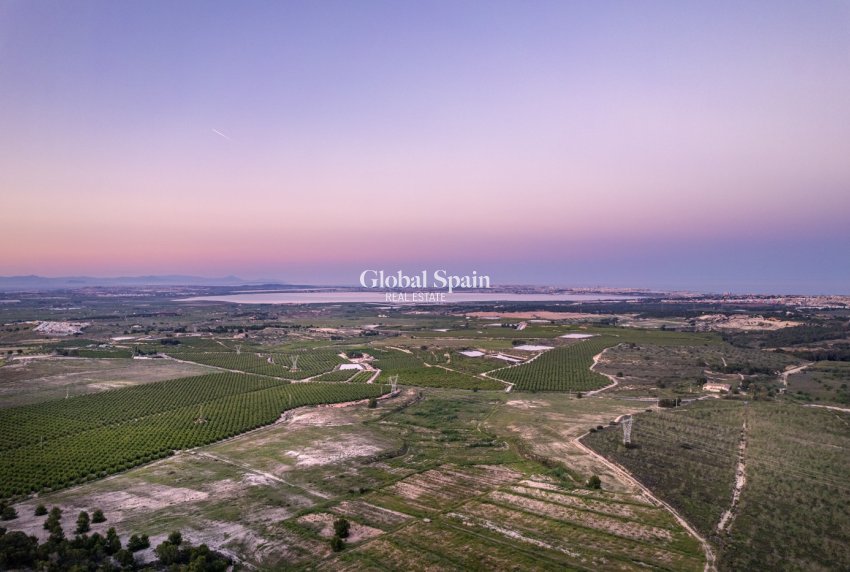 New Build - APARTMENT -
SAN MIGUEL DE SALINAS