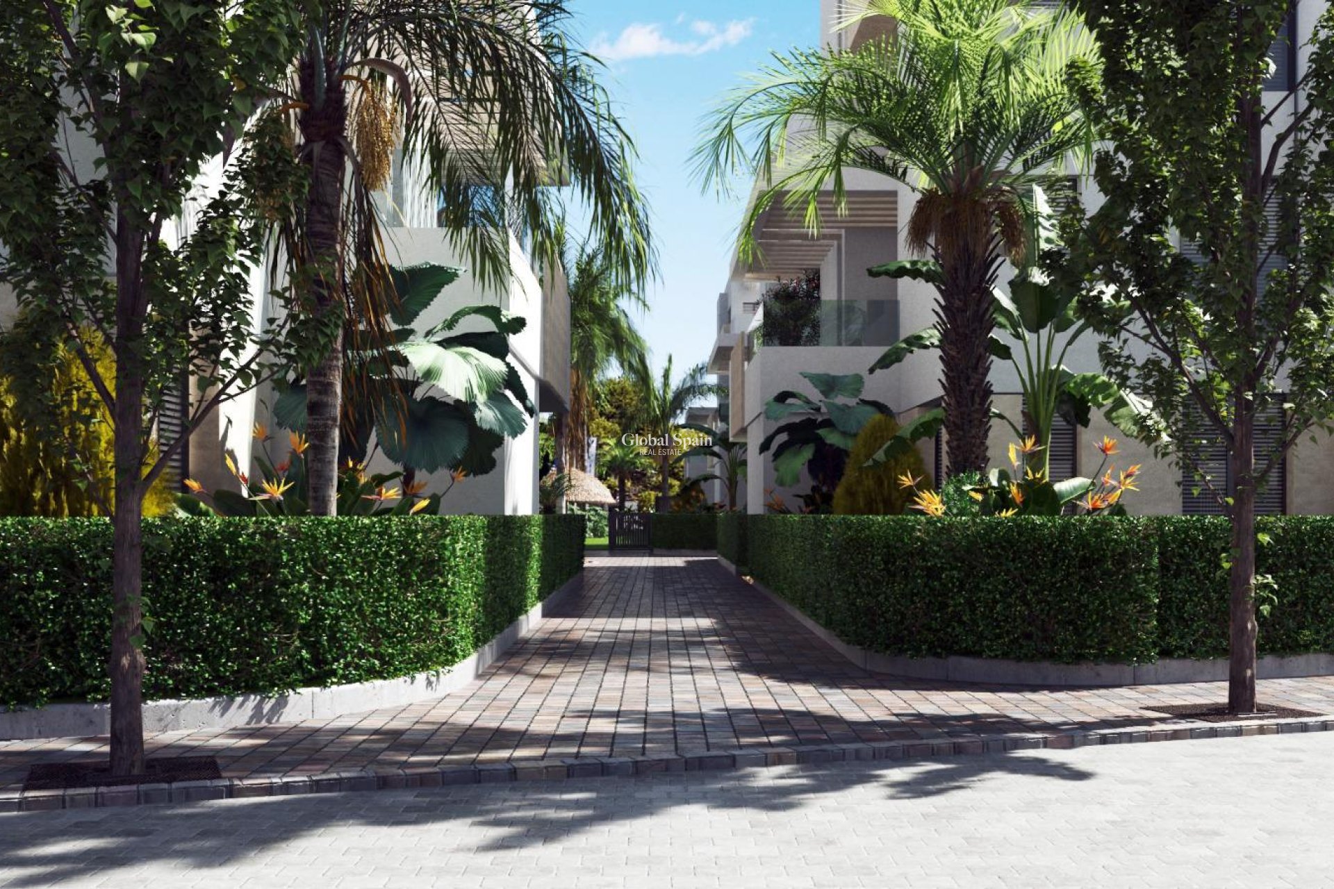 New Build - APARTMENT -
SANTA ROSALÍA