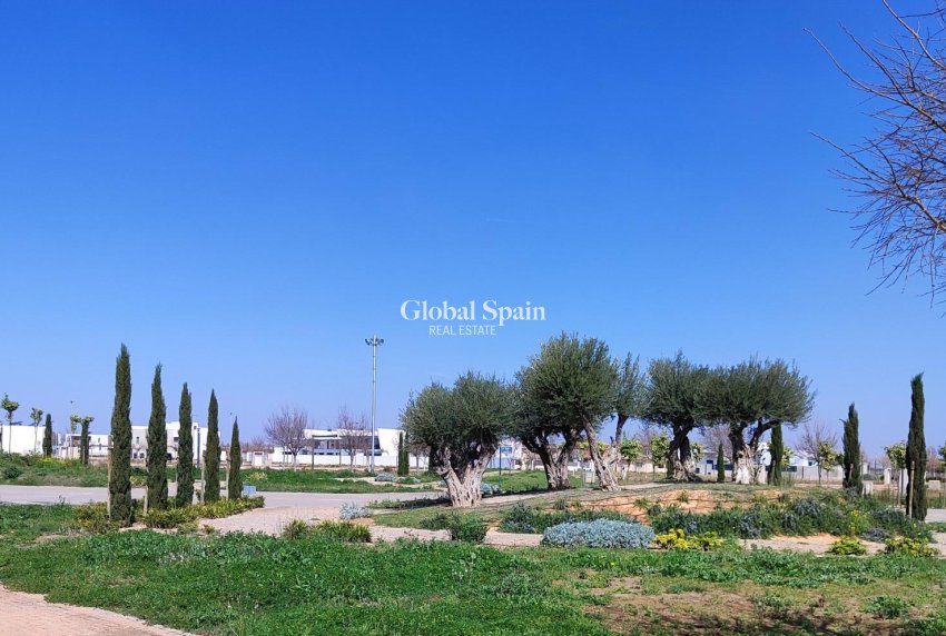 New Build - APARTMENT -
TORRE PACHECO - Centro