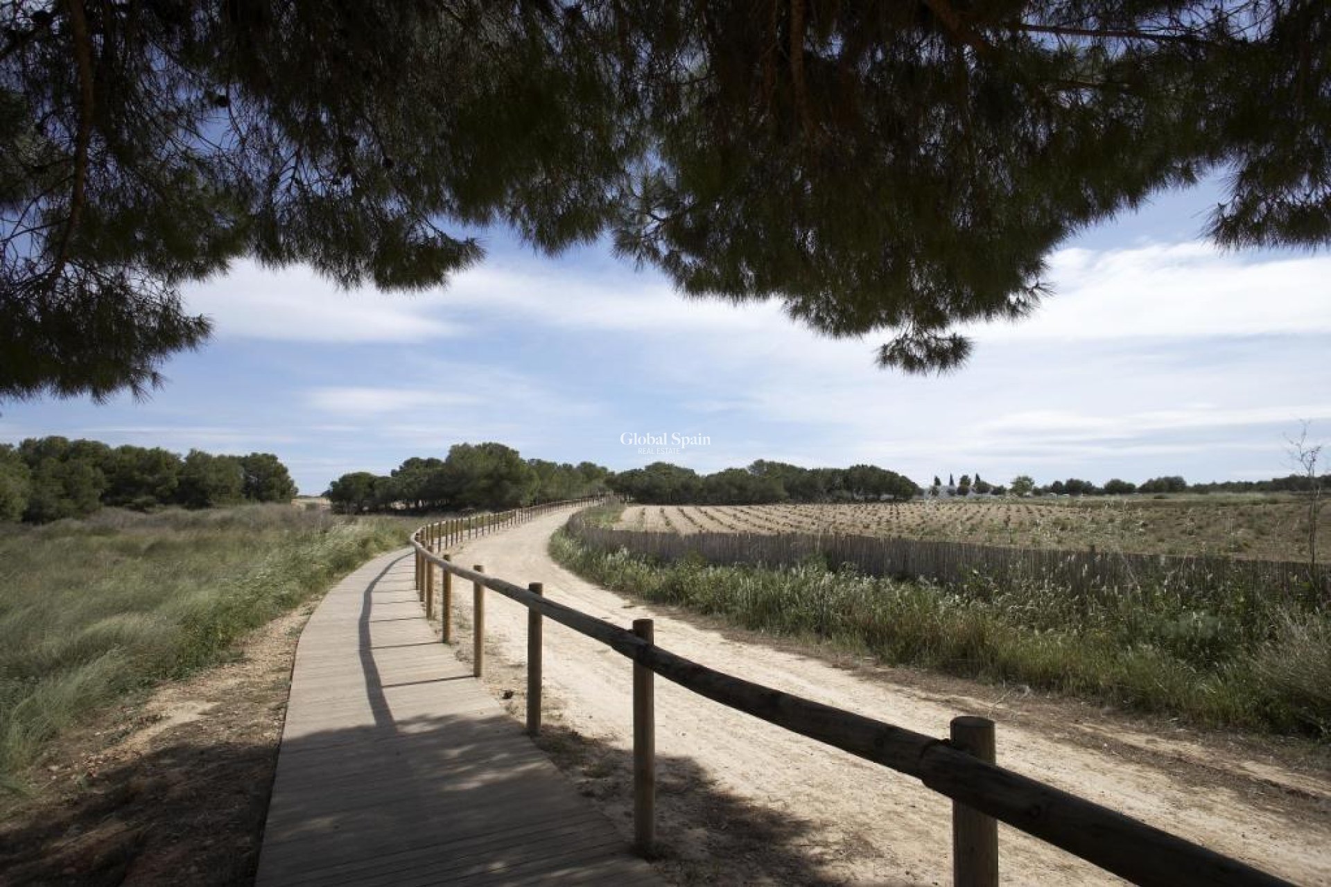 New Build - APARTMENT -
TORREVIEJA - Altos del Sol