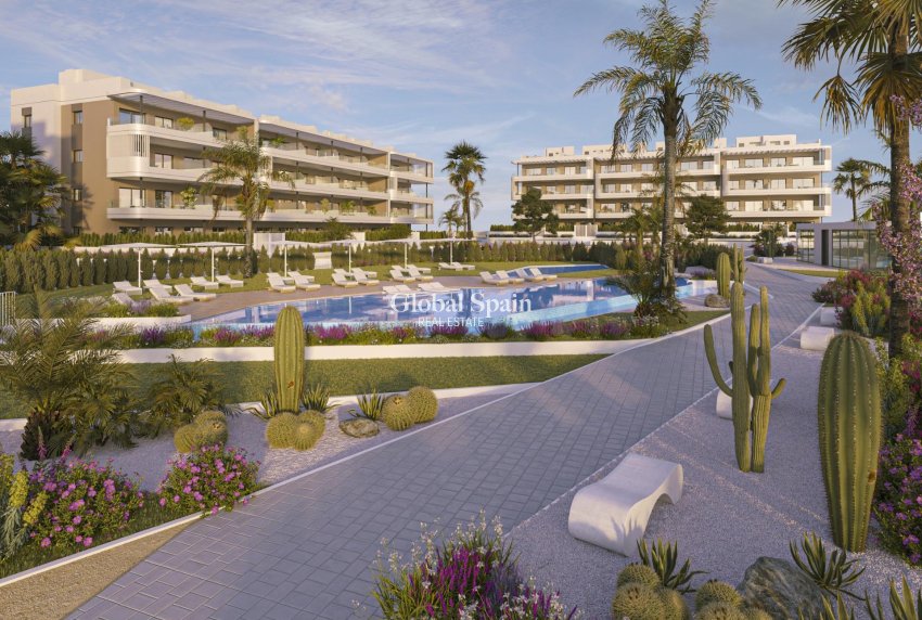 New Build - APARTMENT -
TORREVIEJA - La Hoya